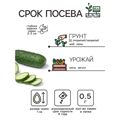 Семена Огурец "Пальчик", 0.5 г