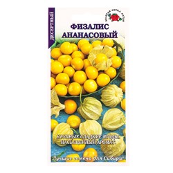 Семена Физалис десертный «Ананасовый», ранний, 0.1 г, «Золотая Сотка Алтая»