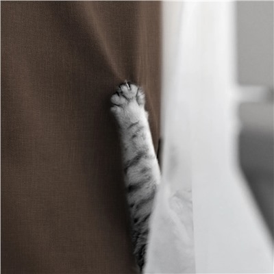 Волшебная Ночь Шторы 921772