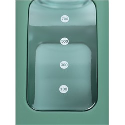 Спортивная бутылка для воды «Гава», 700 мл, 24×7 см, зеленая