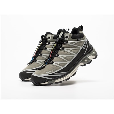 Зимние Кроссовки Salomon ADVANCED XT-6 ADV Mid