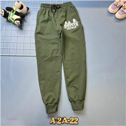 штаны 2058350-2