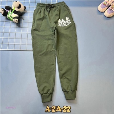 штаны 2058350-2