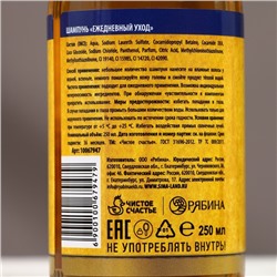 Шампунь для волос пиво «Настоящий мужик», 250 мл, аромат кипариса и зелёного яблока, Чистое счастье