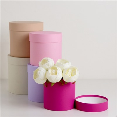 Набор круглых коробок 5 в 1 «Ягодный», 23×23 - 15×15 см