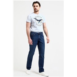 Джинсы F5, 421181