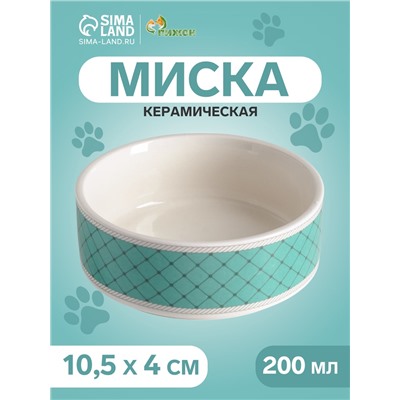 Миска керамическая «Сеточка» 200 мл - 10.5×10.5×4 см, белая/мятная