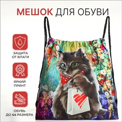Мешок для обуви на шнурке, с принтом, размер 45×1×34 см, зелёный/чёрный/разноцветный