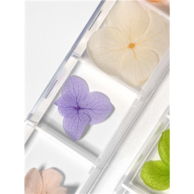 Сухоцветы для декора «Нежность», объёмные, 12 видов, в футляре, разноцветные