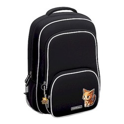 Рюкзак школьный "ErgoLine. CatPix" 20L 44х33х22 см 64931 ErichKrause