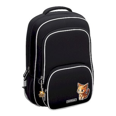 Рюкзак школьный "ErgoLine. CatPix" 20L 44х33х22 см 64931 ErichKrause
