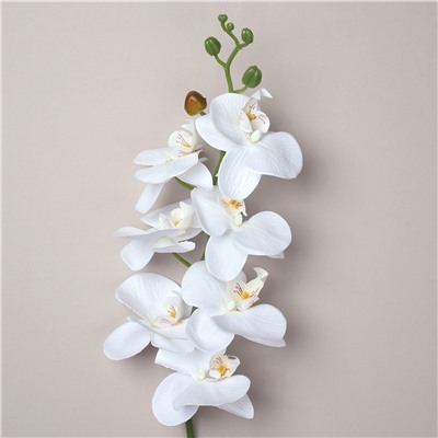 Цветок искусственный Орхидея белая 90 см / RF-1565 /уп 360/7 цветков