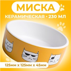 Миска «Опасные коты», 230 мл, 12.5×4.5 cм, керамика, белая, оранжевая