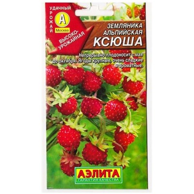 Земляника Ксюша  (Код: 79340)