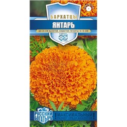 Бархатцы Янтарь прямостоячие (Гавр)