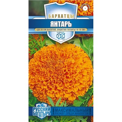Бархатцы Янтарь прямостоячие (Гавр)