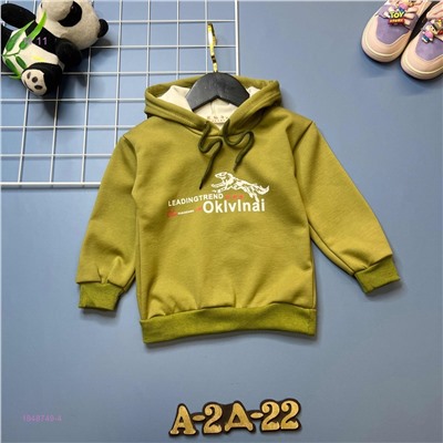 кофта с начесом 1848749-4