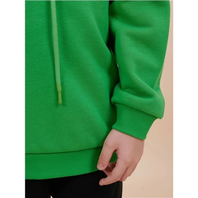 PELICAN Толстовка BFNK3353