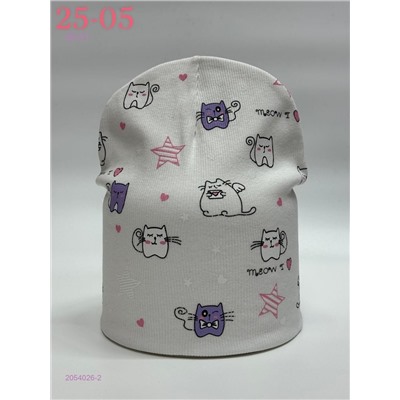 шапка 2054026-2