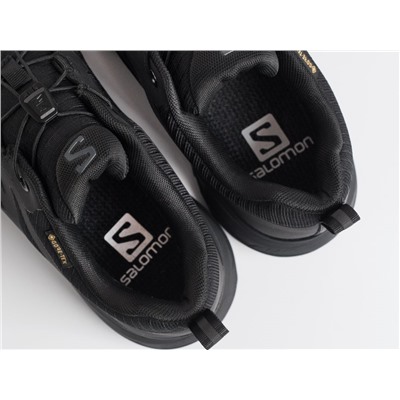 Кроссовки Salomon X ADVENTURE GTX