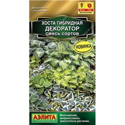 Хоста Декоратор, смесь сортов (Аэлита)