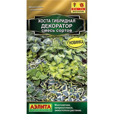 Хоста Декоратор, смесь сортов (Аэлита)
