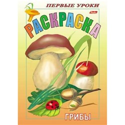 Раскраска А5 8л Посмотри и раскрась-Первые уроки "Грибы" 10357  03057 (011344) Хатбер