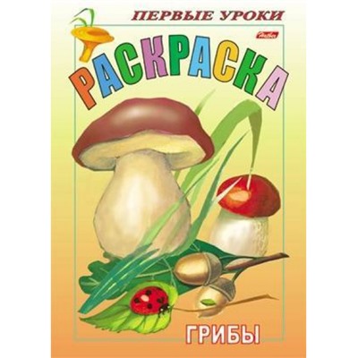 Раскраска А5 8л Посмотри и раскрась-Первые уроки "Грибы" 10357  03057 (011344) Хатбер
