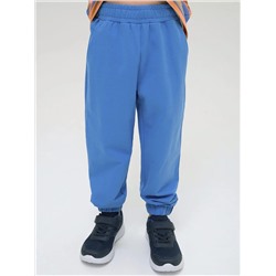 PELICAN Брюки BFPQ3321U