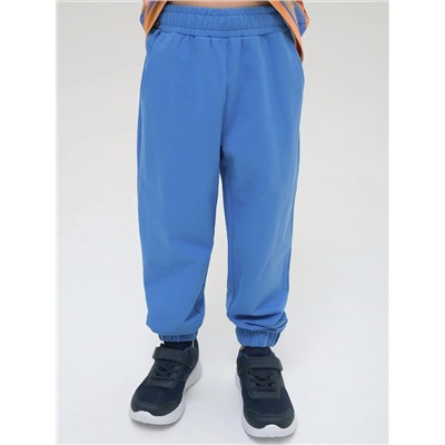 PELICAN Брюки BFPQ3321U