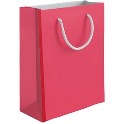 Пакет бумажный 26х32х12 см 2632-GLOS-RNB1 Regalissimi