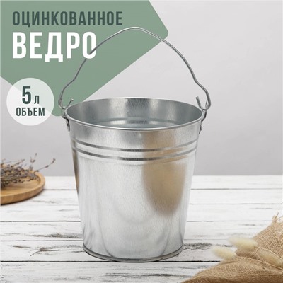Ведро хозяйственное оцинкованное с ручкой, 5 л, d=21 см, h=20,5 см, ГОСТ