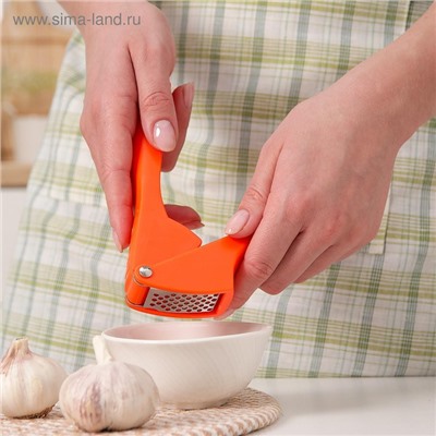 Пресс для чеснока Доляна «Уточка», 16 см, зелёный