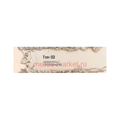 Triumph I*m Trend Бархатистая космпактная пудра Silk Touch тон 02 Шампань СТР 27