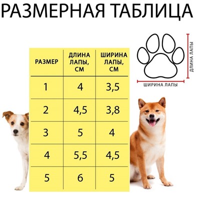 Ботинки «Модник», набор 4 шт., 1 размер (4×3 см), коричневые
