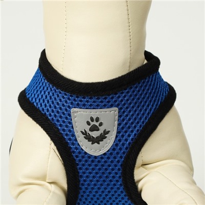 Комплект амуниции с мягкой шлейкой и светоотражающей нашивкой, M, ОШ 26, ОГ 36-44, синий