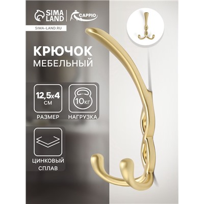 Крючок мебельный CAPPIO PIGTAIL, трехрожковый, цвет сатиновое золото