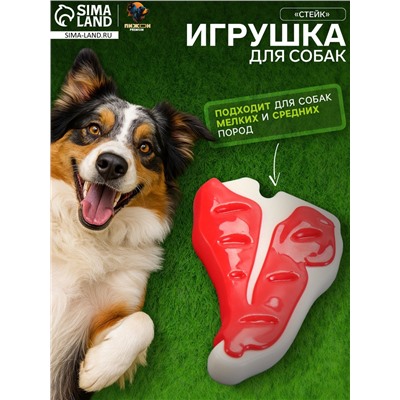 Игрушка для собак Пижон Premium «Стейк», 10.5 см, TPR + нейлон, цвет МИКС