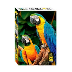 Пазлы 500 "Попугаи ара"