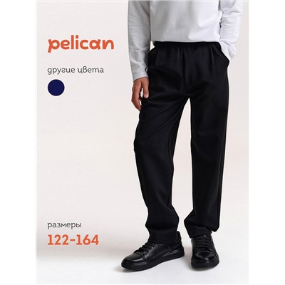PELICAN Брюки BFPQ7045