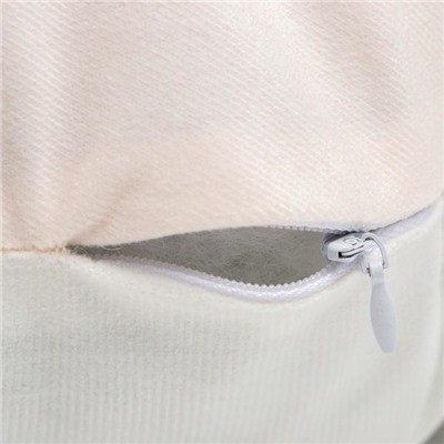 Подушка декоративная Этель «Тигр», 40×40 см, велюр, 100% полиэстер