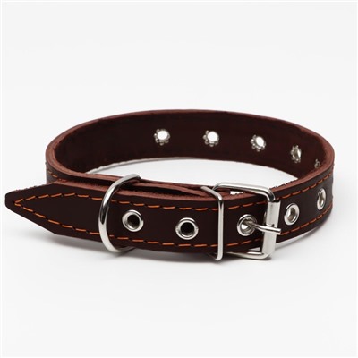 Ошейник однослойный, безразмерный, 56×2.5 см, ОШ 17-44 см, кожа, коричневый
