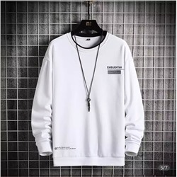 Толстовка мужская