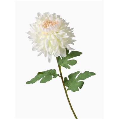 Цветы искусственные «Хризантема садовая галант», 14×57 см, белые