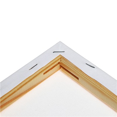 Холст на подрамнике, хлопок 100%, 1.6×30×50 см, акриловый грунт, мелкозернистый, 280 г/м²