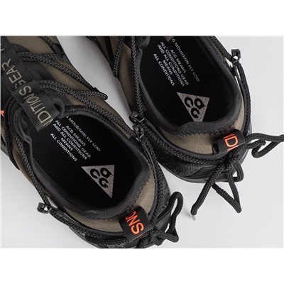 Кроссовки Nike ACG Air Terra Antarktik Low