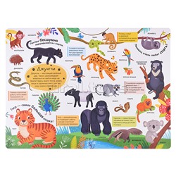 Мой первый словарь. Живая природа.