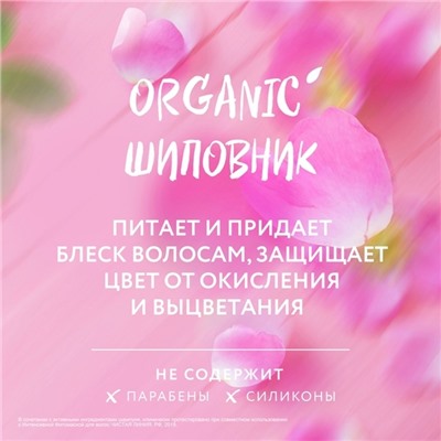 Шампунь для окрашенных волос мицеллярный Чистая линия «питание и уход», 400 мл