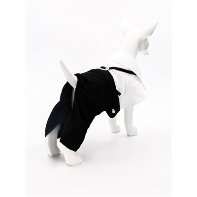 Костюм для животных «Джентельмен», размер S (ДС 25, ОГ 35 см)