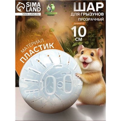Шар для грызунов 10 см, прозрачный